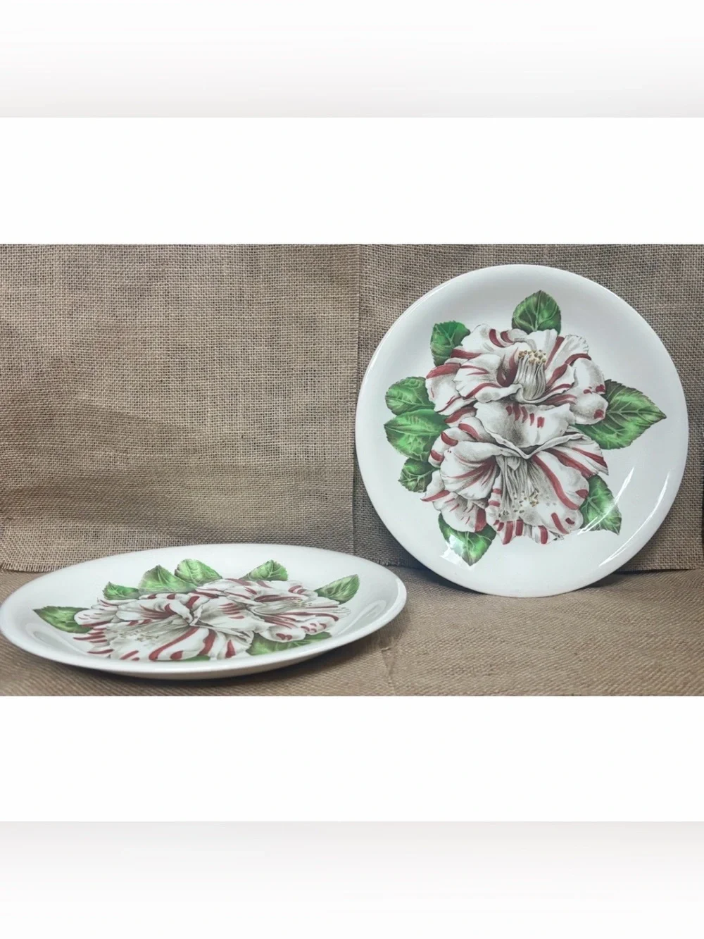 Vintage Johnson Brothers Camellia Floral Dinner Plates Set of 2 Cottagecore